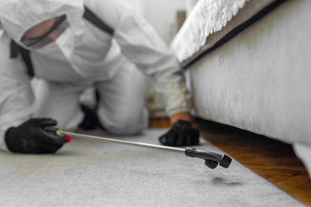Professional Termite Control technician working in Newcastle, WY