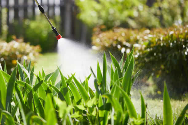 24/7 Emergency Termite Control experts in Newcastle, WY