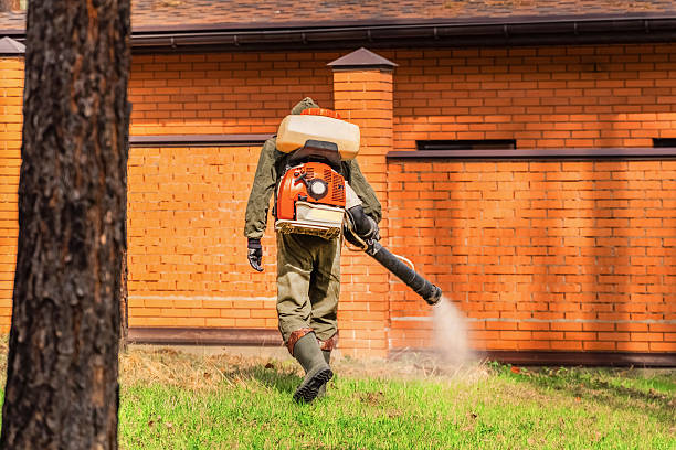 Top rated local Termite Control specialists in Newcastle, WY